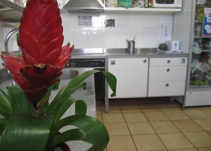 Mellow BarcelonaHostel